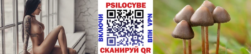 мега зеркало  наркота  Улан-Удэ  Псилоцибиновые грибы мухоморы 