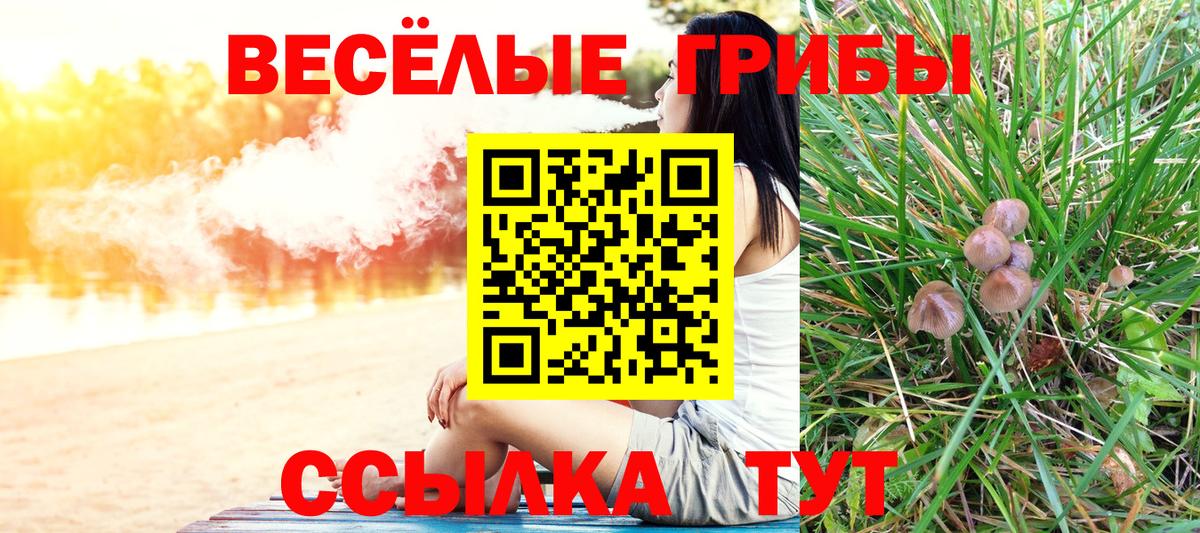 Галлюциногенные грибы ЛСД  Псилоцибиновые грибы Cubensis  Вход с VPN  купить наркоту  Улан-Удэ 