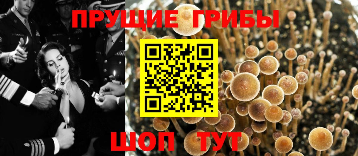 Псилоцибиновые грибы мухоморы  Галлюциногенные грибы MAGIC MUSHROOMS  дарнет шоп  Улан-Удэ 